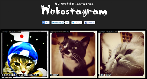 Nekostagram